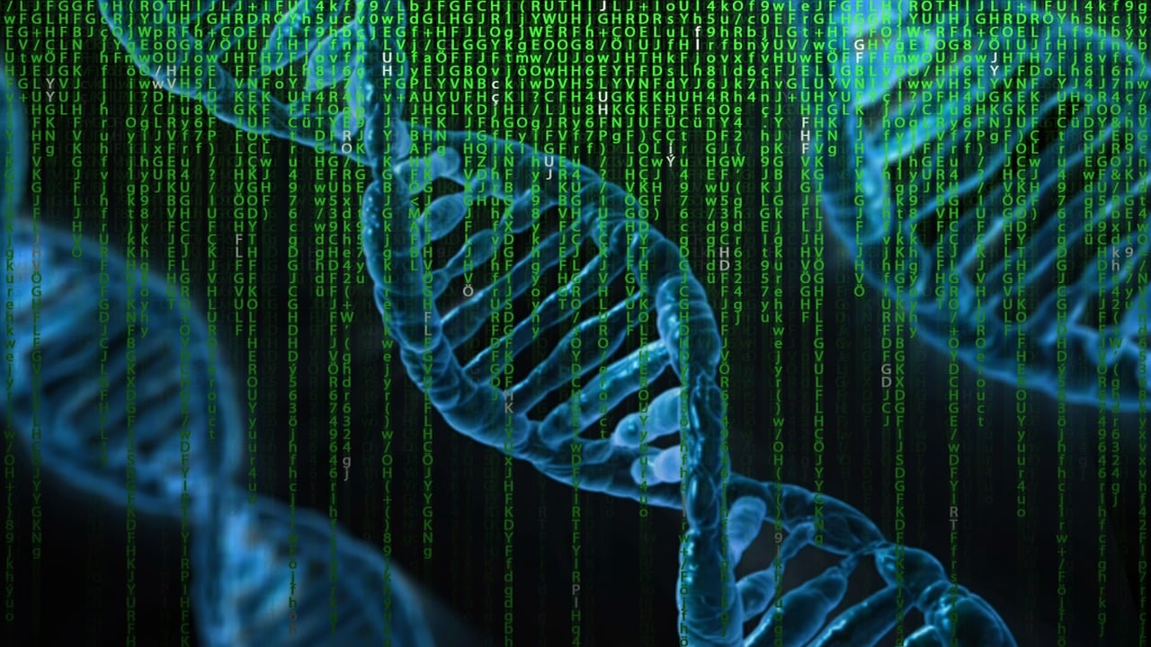 Cientistas Sugerem Que Ancestralidade Genética Deve Ser Considerada Em Abordagens De Saúde Em Publicação Internacional